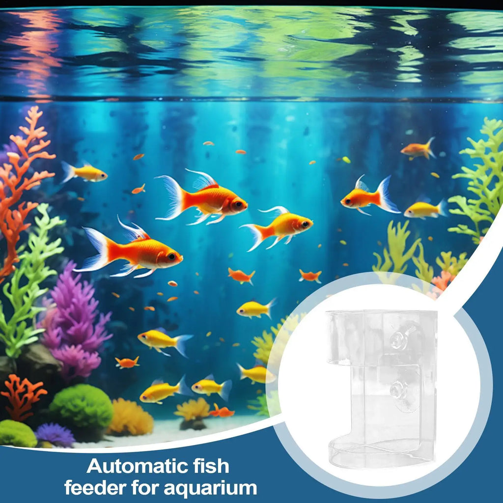 Fish Food Dispenser Transparent Feeding Dish Large Capacity