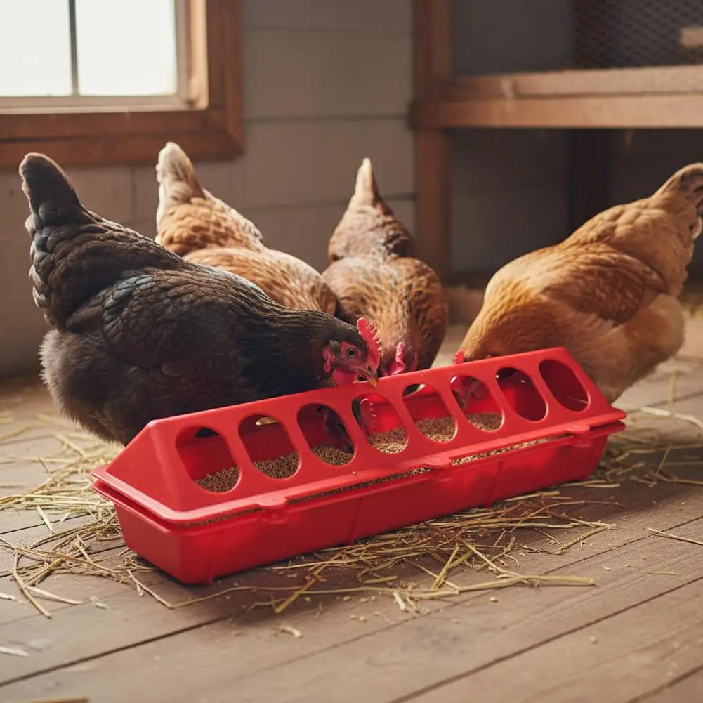 Automatic Chicken Feeder & Waterer – 16-Hole Poultry Dispenser