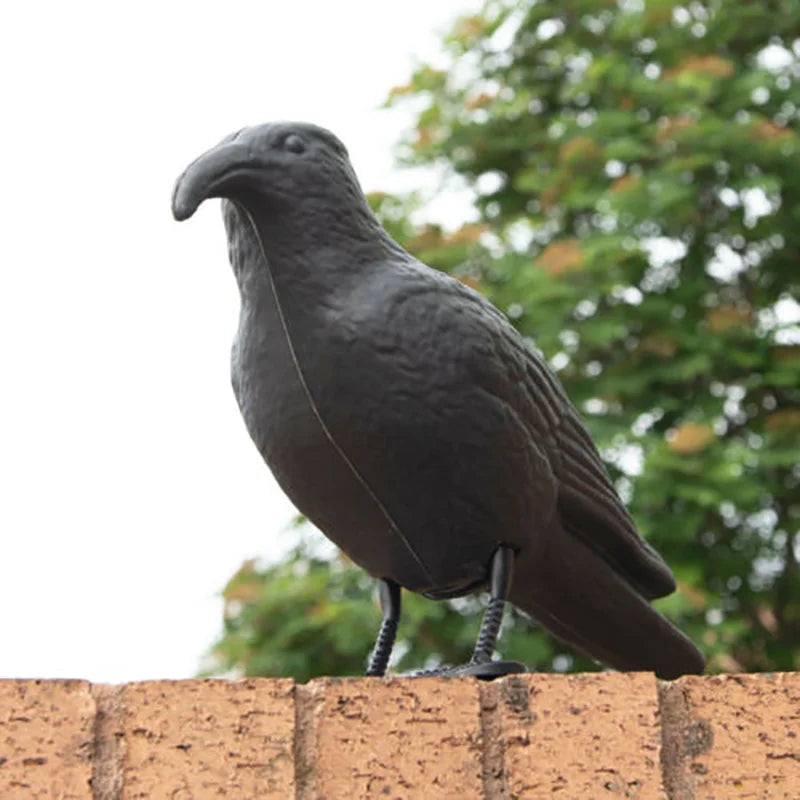 Simulation Black Raven Bird Crow Natural Prop Scary Pest Repellent