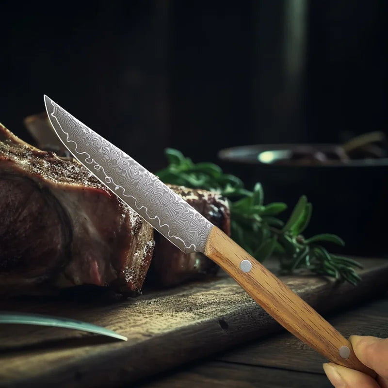 Damascus Steel Steak Knife – 67-Layer Blade & Wood Handle