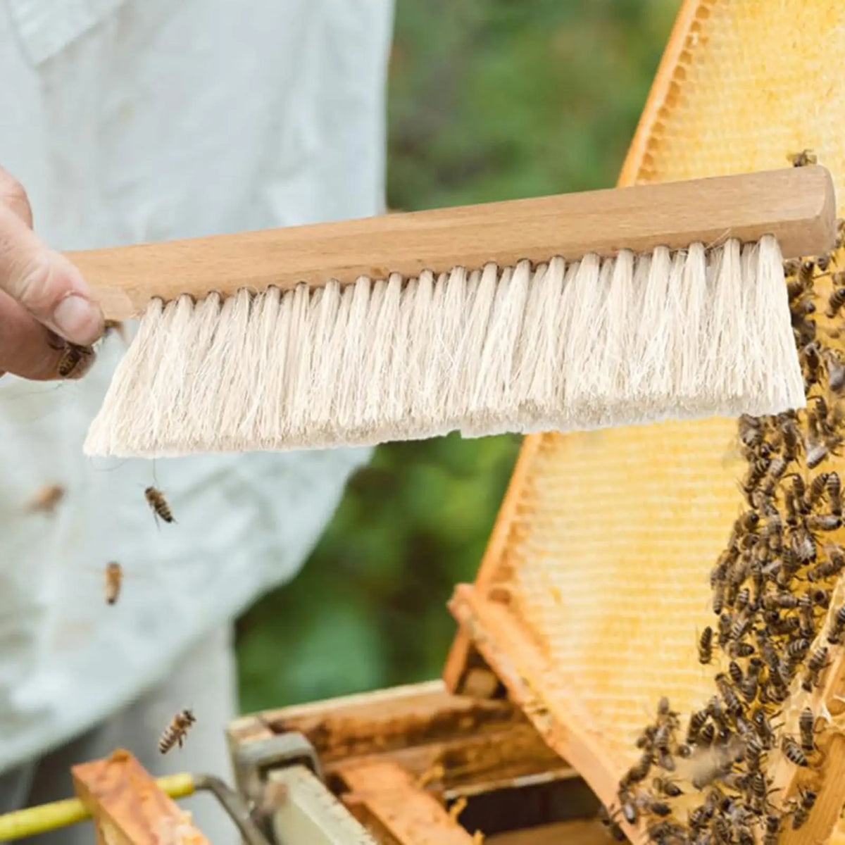 Natural Horsehair Beekeeping Brush – Wooden Handle Hive Tool