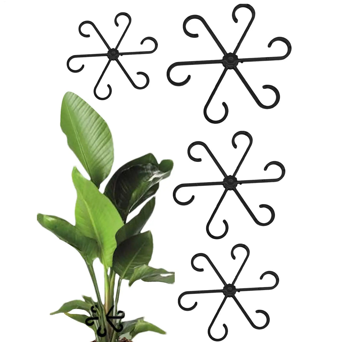 4-Piece Plant Stem Support Set for Climbing Indoor Plants