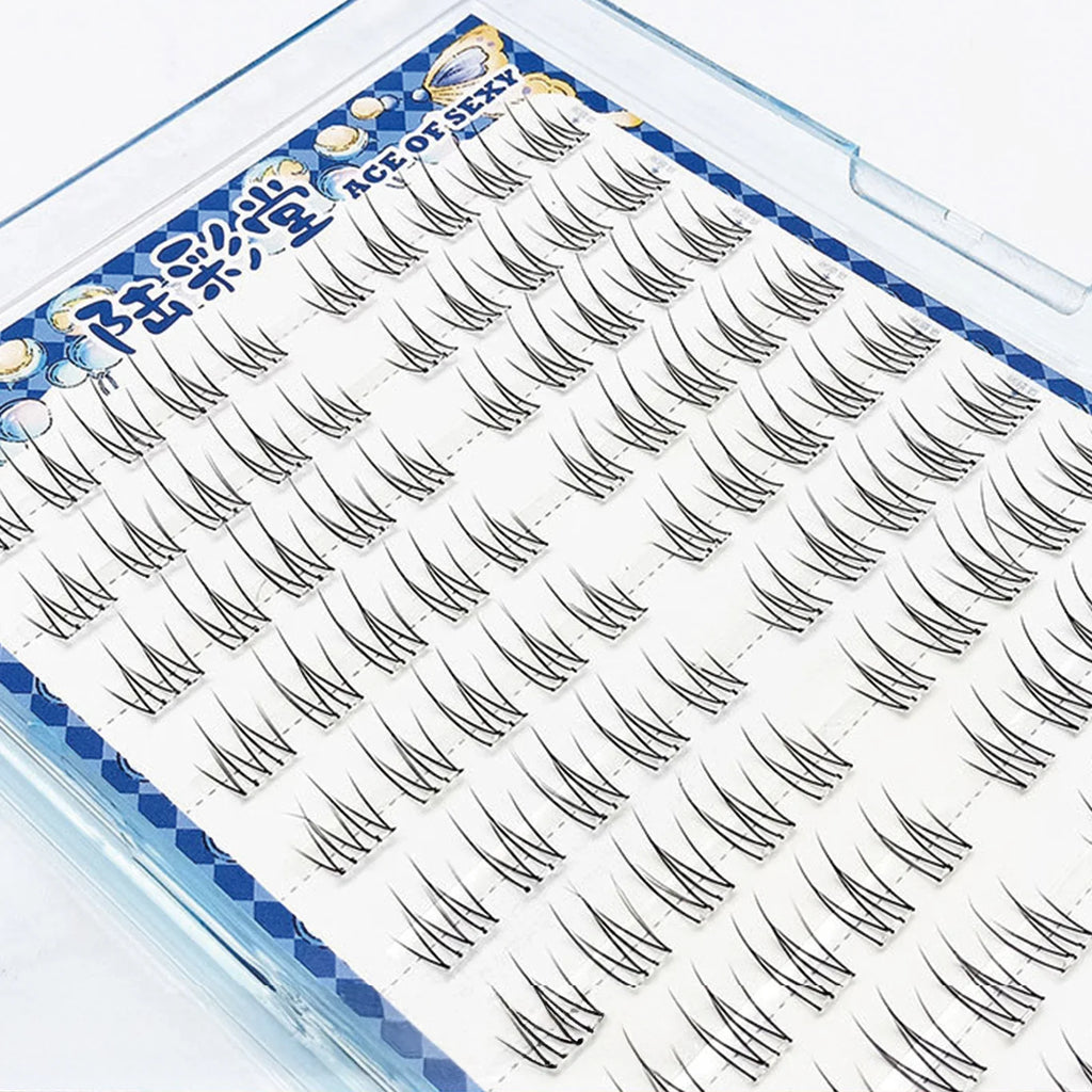 Glue-Free Cluster False Eyelashes | 10 Rows Natural Lash Ext
