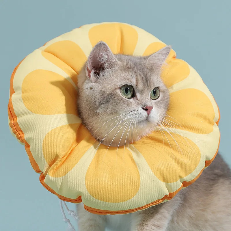 Cat Elizabeth Circle Kitten Anti-licking Bites Shame Collar Headband