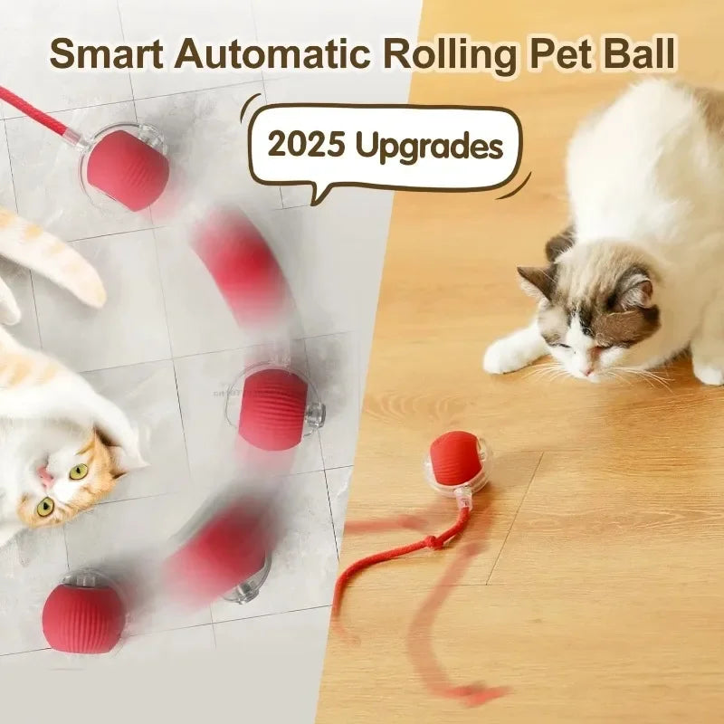 Interactive Auto Rolling Ball Toy for Cats – USB Rechargeable