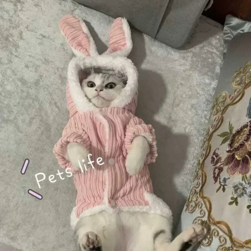 Winter Rabbit Ear Teddy Bear Dog Cat Clothes Warm Comfortable Elastic