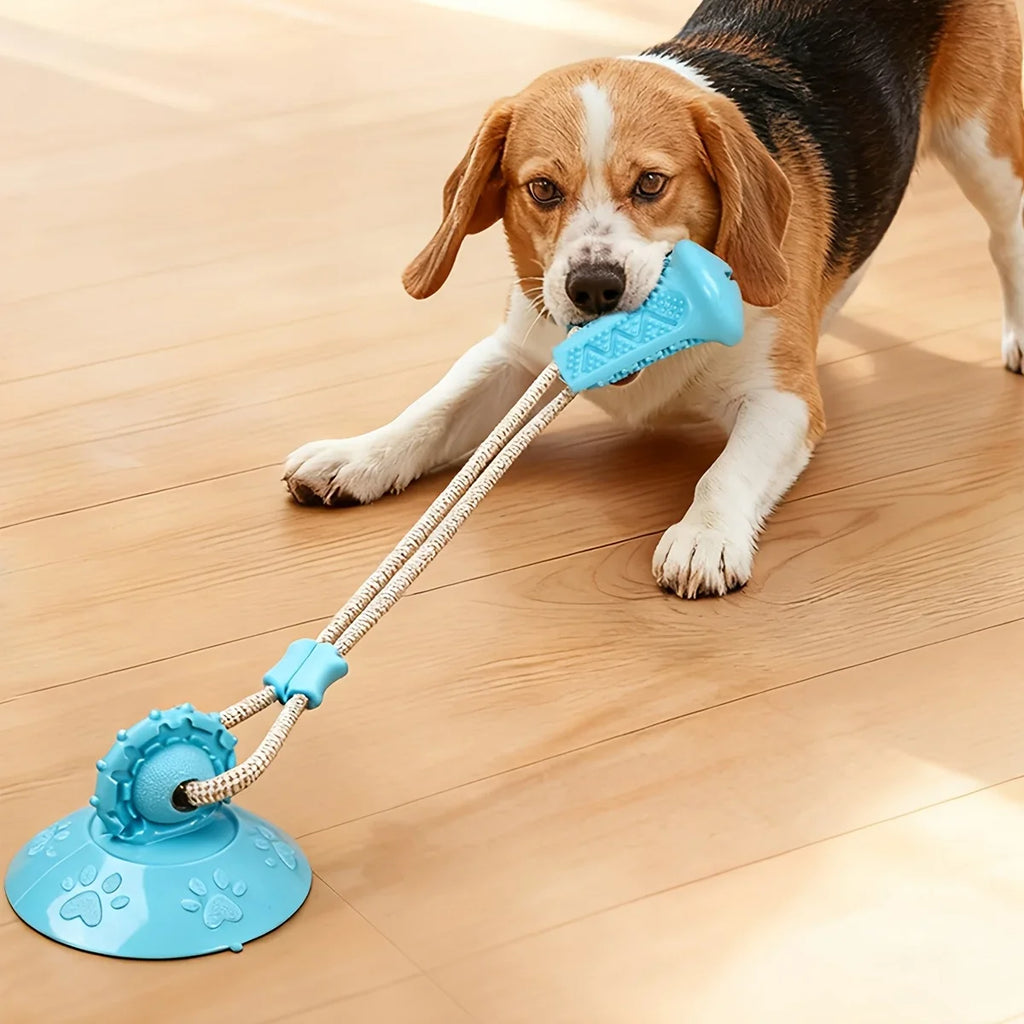 Dog Toy Suction Interactive Chew Teeth Grinding Ball Food Dispenser