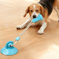 Dog Toy Suction Interactive Chew Teeth Grinding Ball Food Dispenser