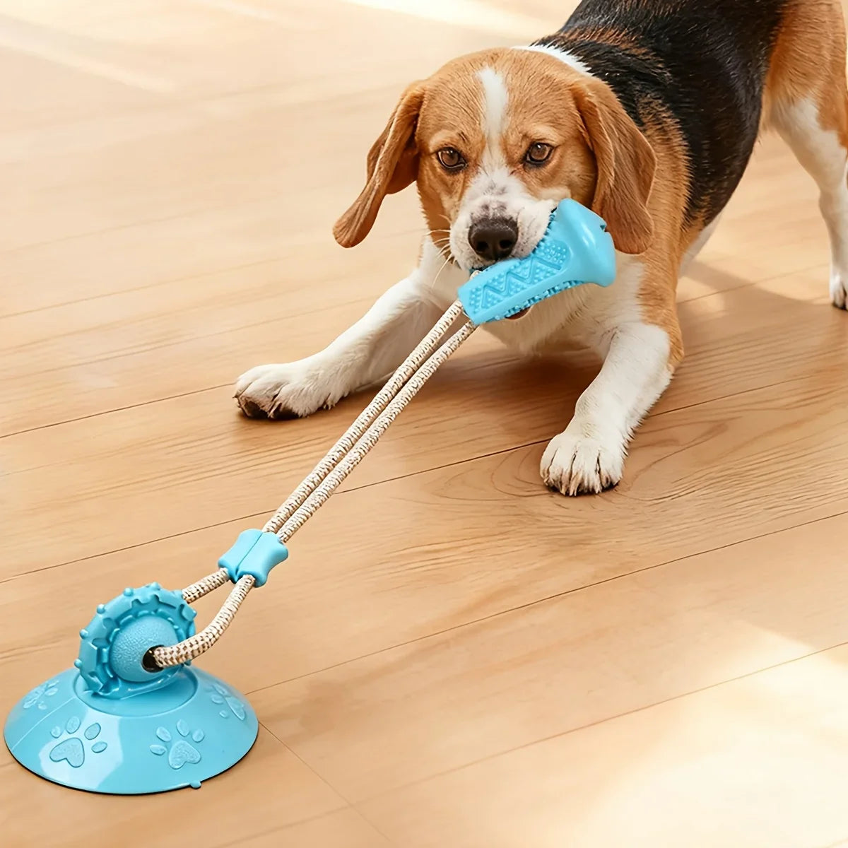 Dog Toy Suction Interactive Chew Teeth Grinding Ball Food Dispenser