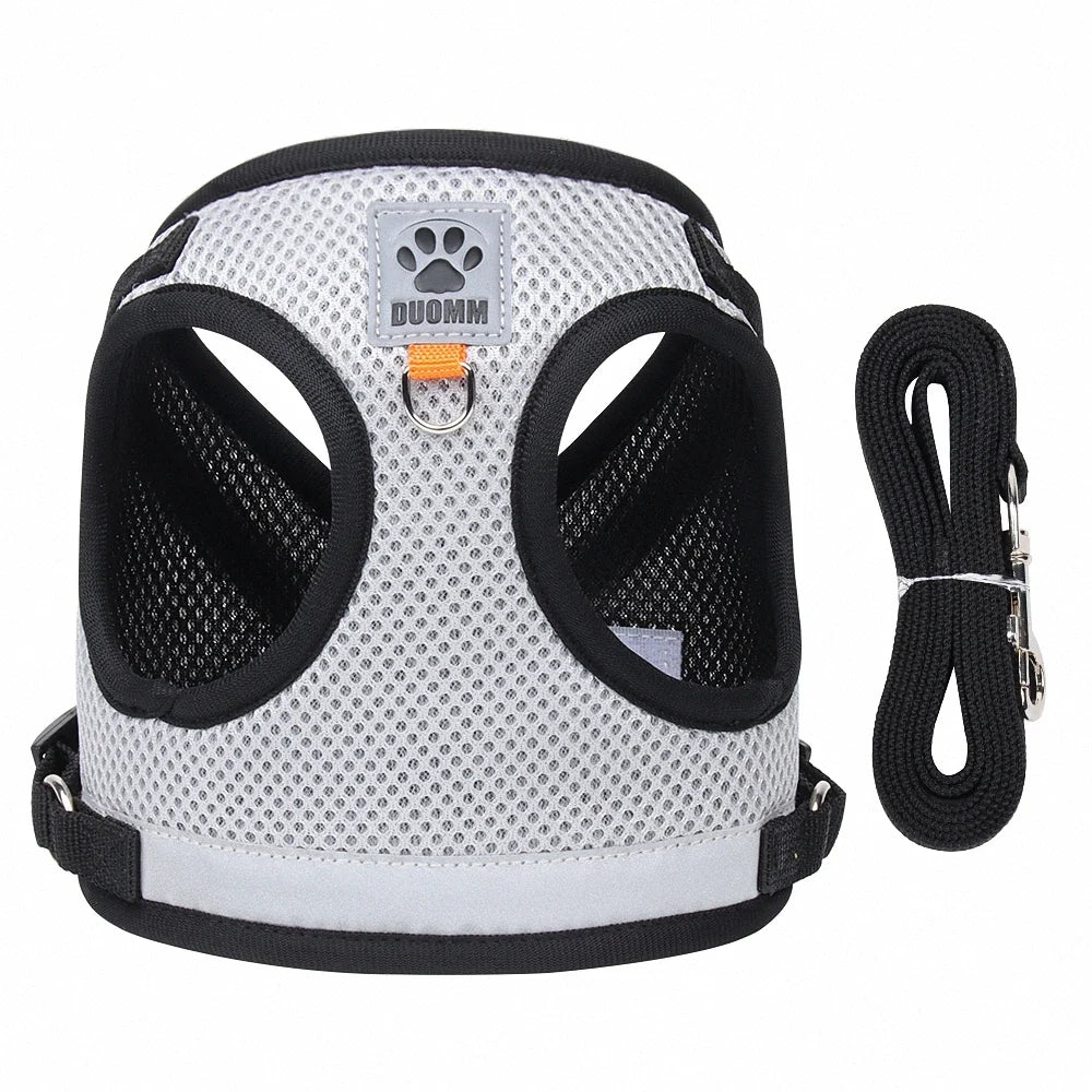 Reflective Mesh Pet Harness & Leash Set – Cats & Small Dogs