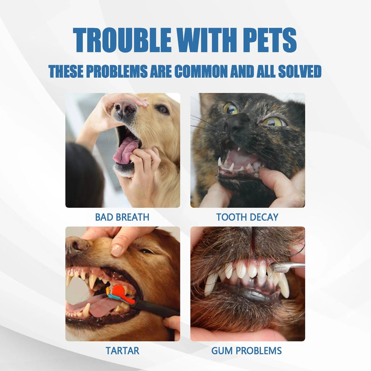Pet Oral Foam Spray – No-Brush Tartar Remover for Dogs & Cats