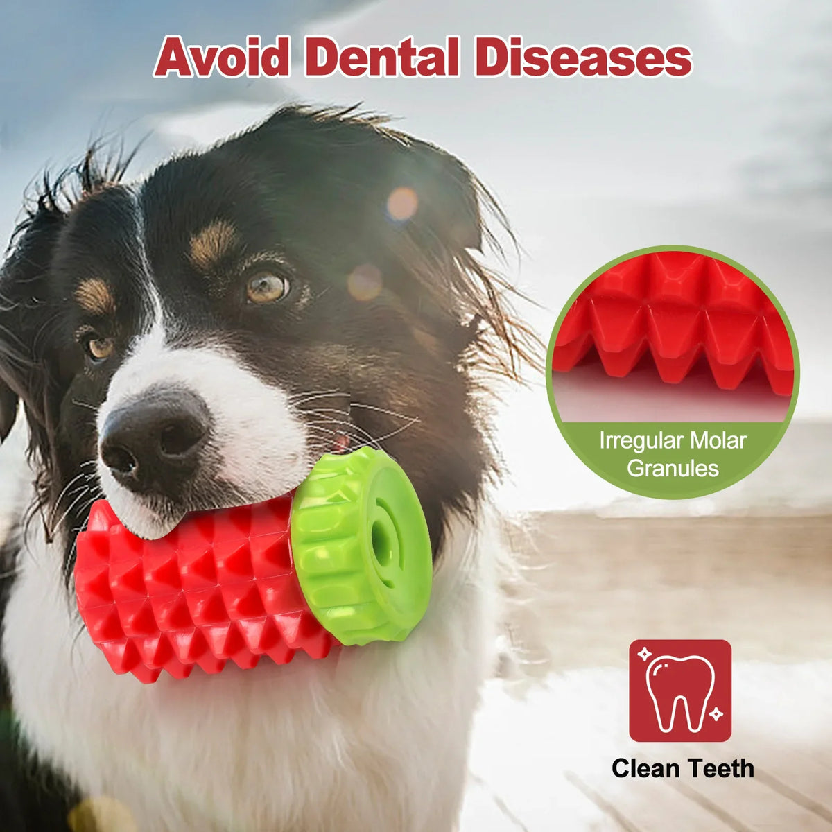 Simulated Corn Cob TPR Dog Toy Scratch-resistant Teething Stick