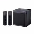 AyeBeau Portable Karaoke Bluetooth Speaker with Microphone