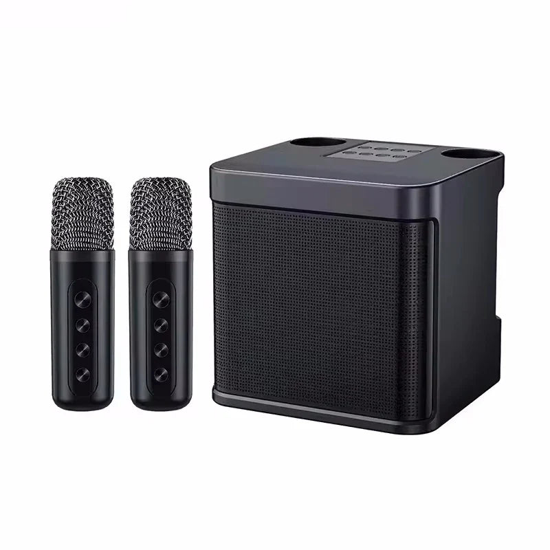 AyeBeau Portable Karaoke Bluetooth Speaker with Microphone