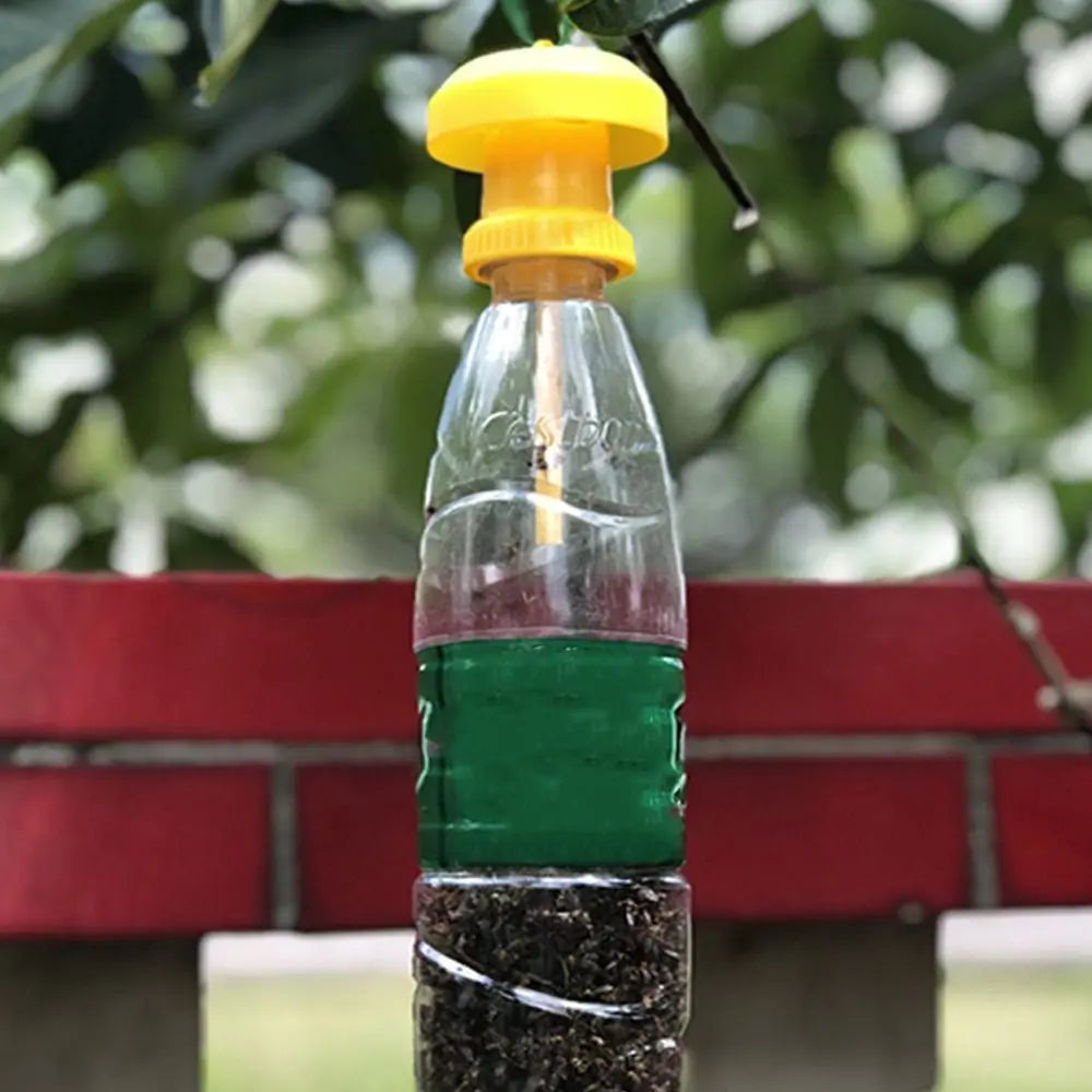 10-Pack Yellow Sticky Fruit Fly Traps | Hanging Insect Catchers