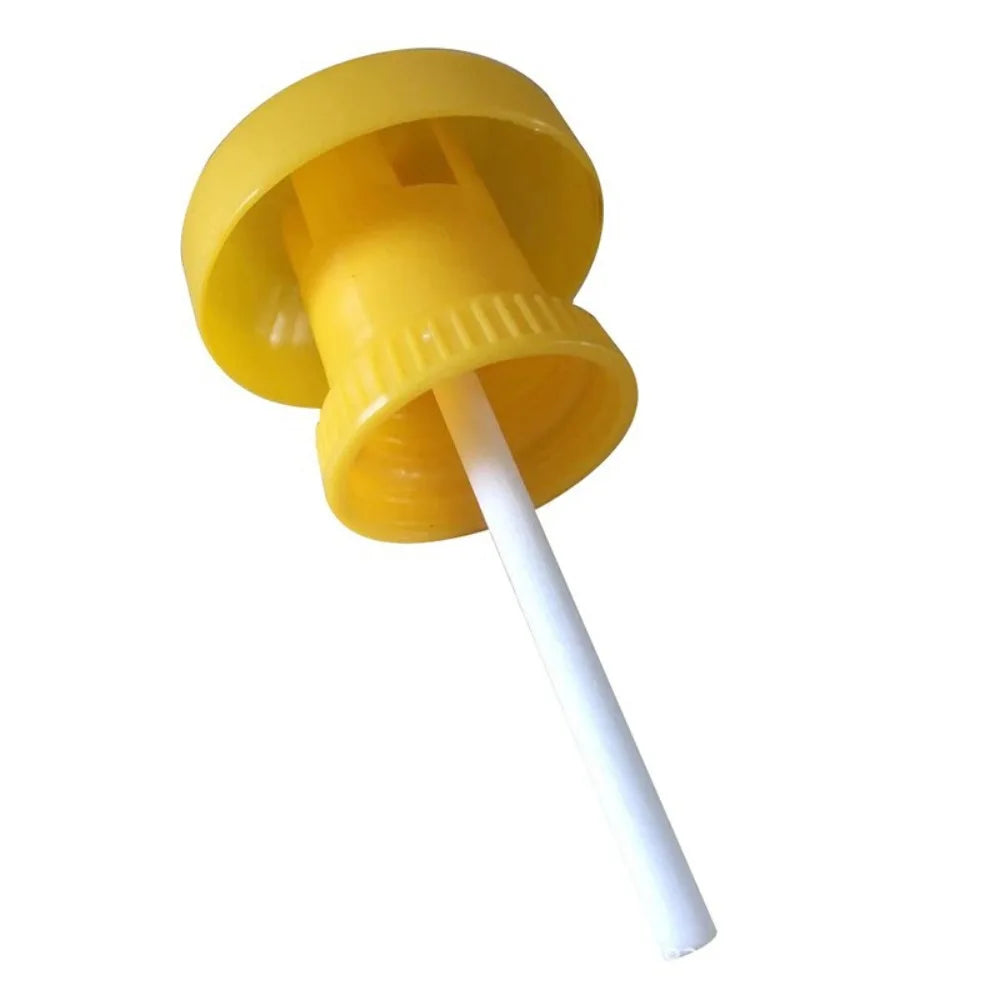 10-Pack Yellow Sticky Fruit Fly Traps | Hanging Insect Catchers