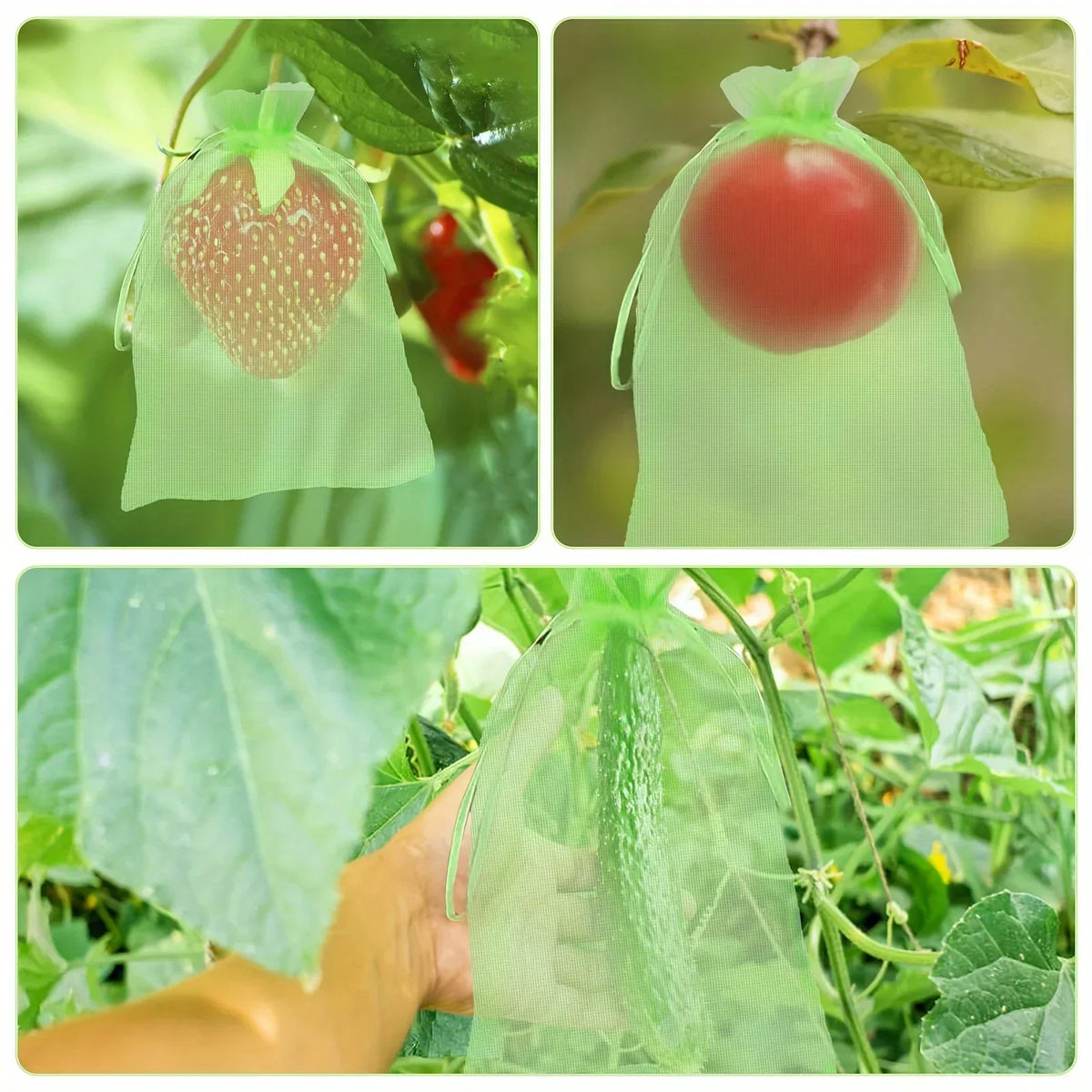 10-Pack Fruit Protection Netting Bags | Garden Mesh Barrier