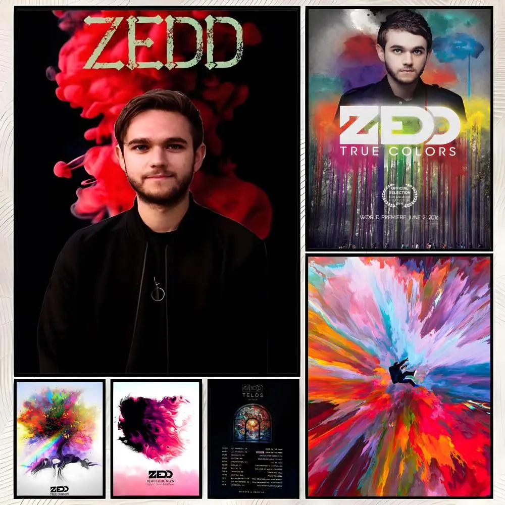 Zedd HD PVC Self-Stick Wall Art Poster | Waterproof Music Decor