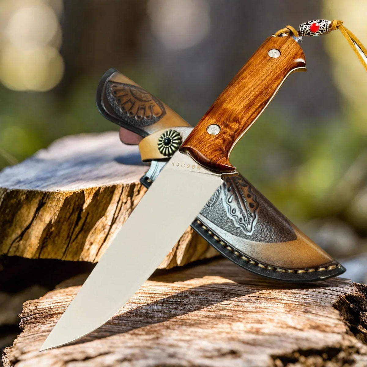 Desert Ironwood Knife – 14C28N Steel 61 HRC + Leather Sheath