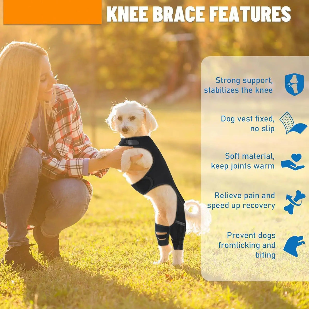 Dog Knee Brace – Adjustable Back Leg Wrap & 4 Metal Stabilizers