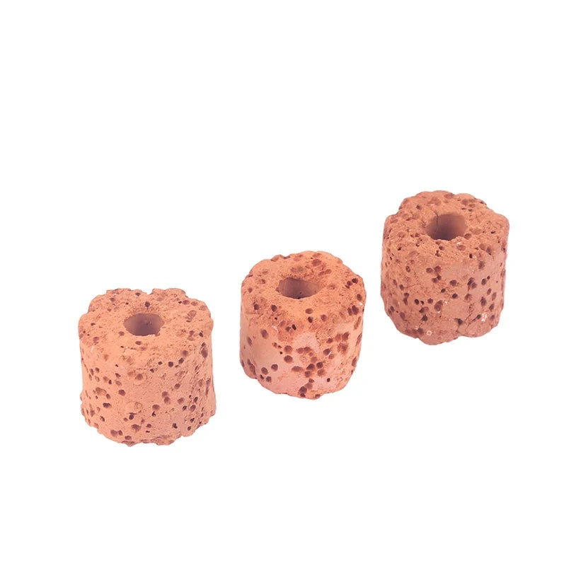 Plant Ring Aquarium Fixed Watertank Filter Weightsholder Plants