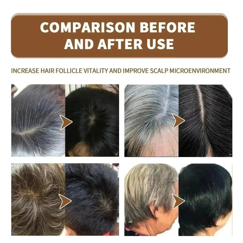 Herbal Hair Dye Shampoo – Natural Black & Grey Coverage