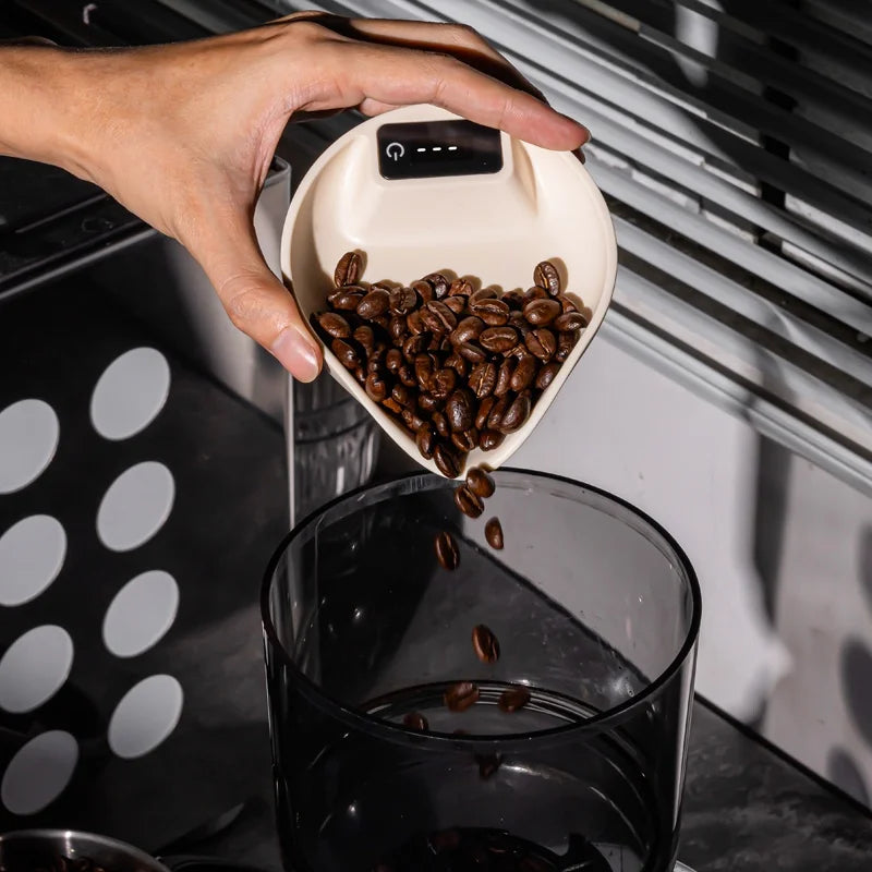 HOMEFISH Coffee Bean Scale | 0.1g LED Espresso Weighing Tray