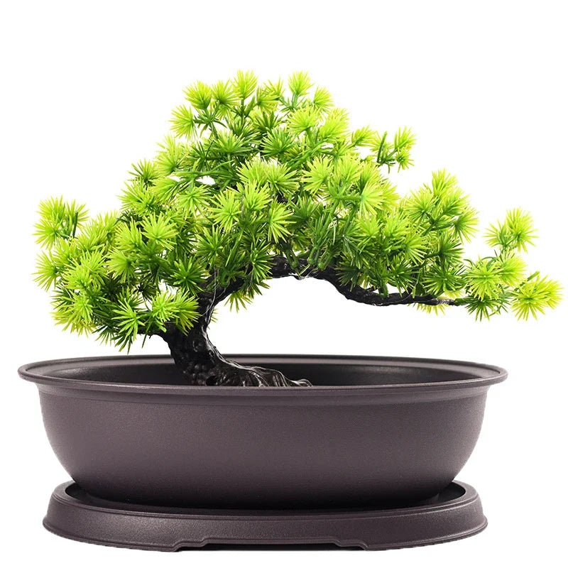 Plastic Imitation Clay Bonsai Planter Pot & Tray | Square & Rect