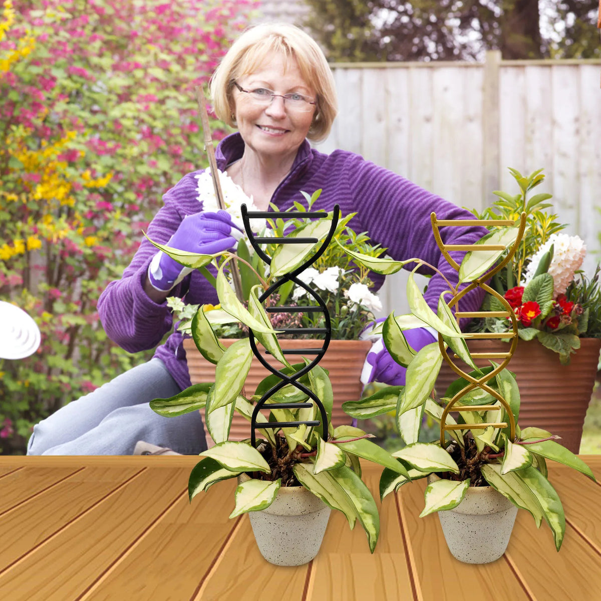 Metal DNA Shape Plant Trellis | Climbing Plant Support Stake