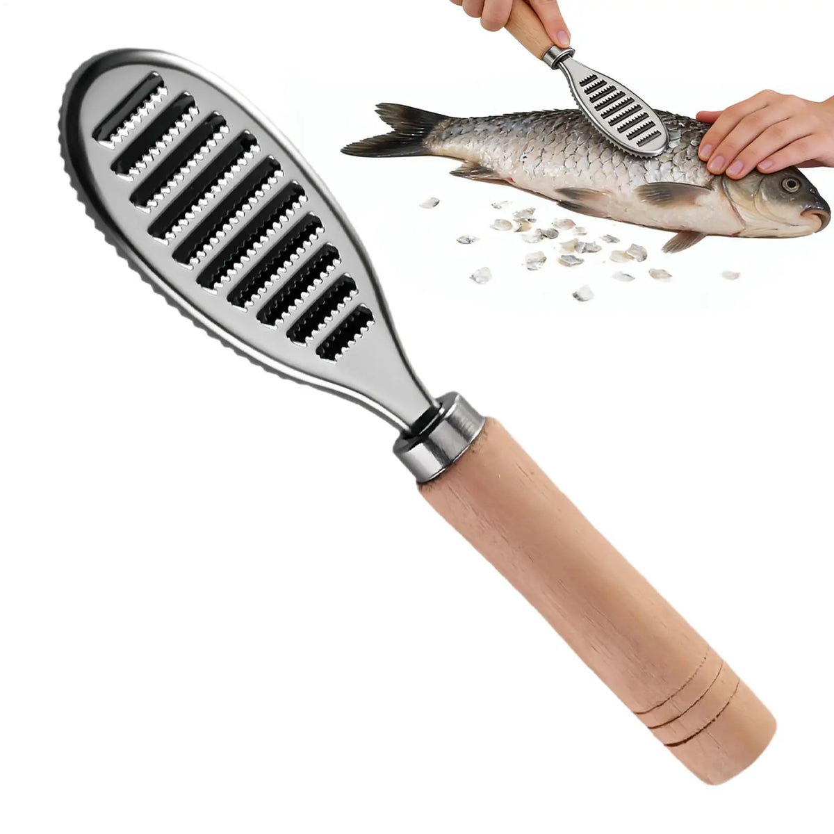 Stainless Steel Fish Scaler with Wooden Handle | Kitchen Tool