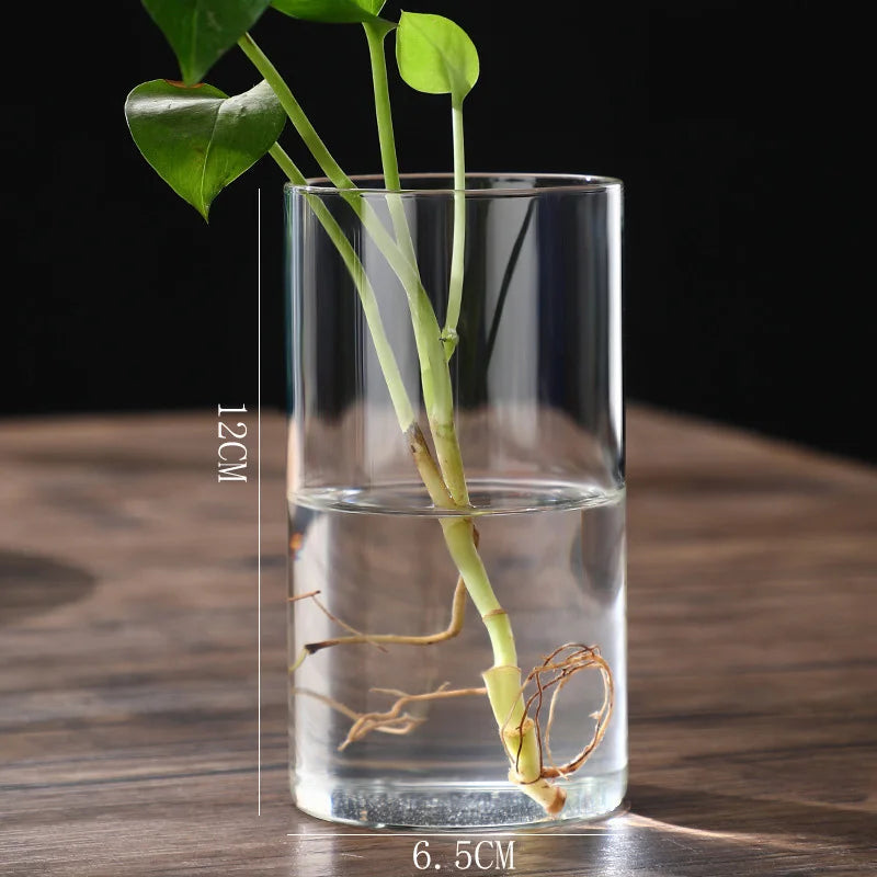 Glass Cylinder Vase | Hydroponic Flower Centerpiece for Weddings