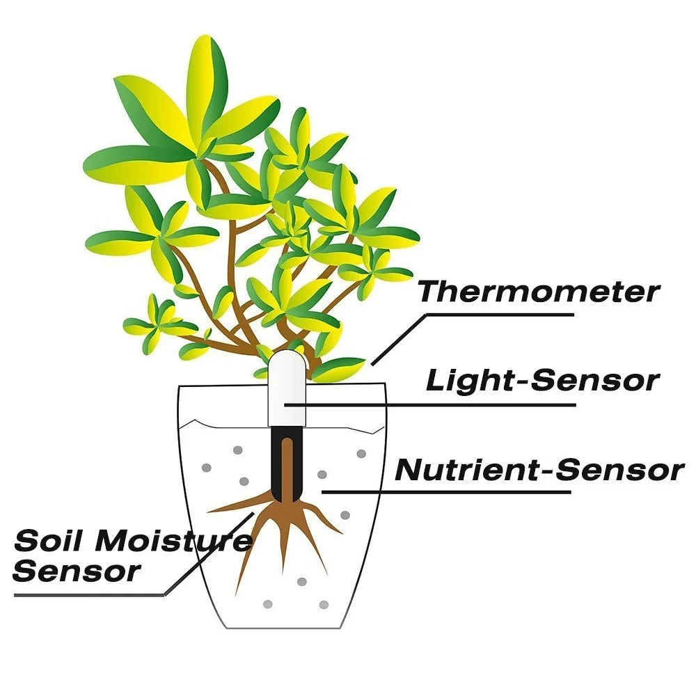 HHCC Flower Monitor Flora Garden Care Plant Grass Soil Water
