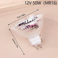 AC DC 12V Halogen Bulb Lamp Cup Light MR11 MR16 GU5 3 GU10 Brightness
