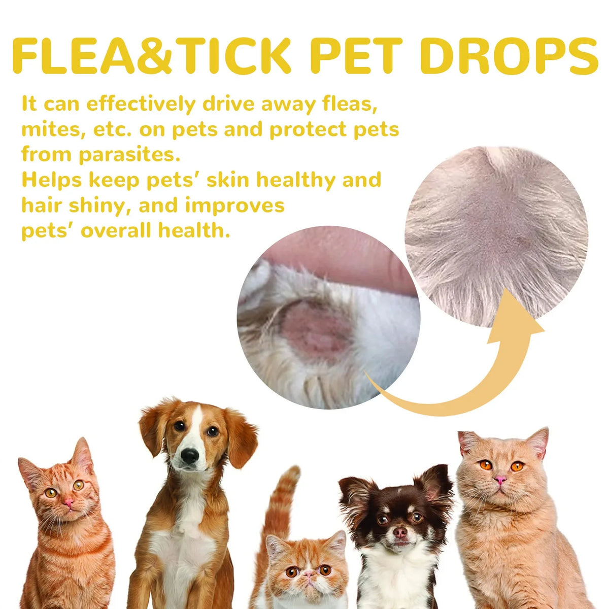 Yegbong Flea Tick Mite Repellent Drops for Dogs & Cats