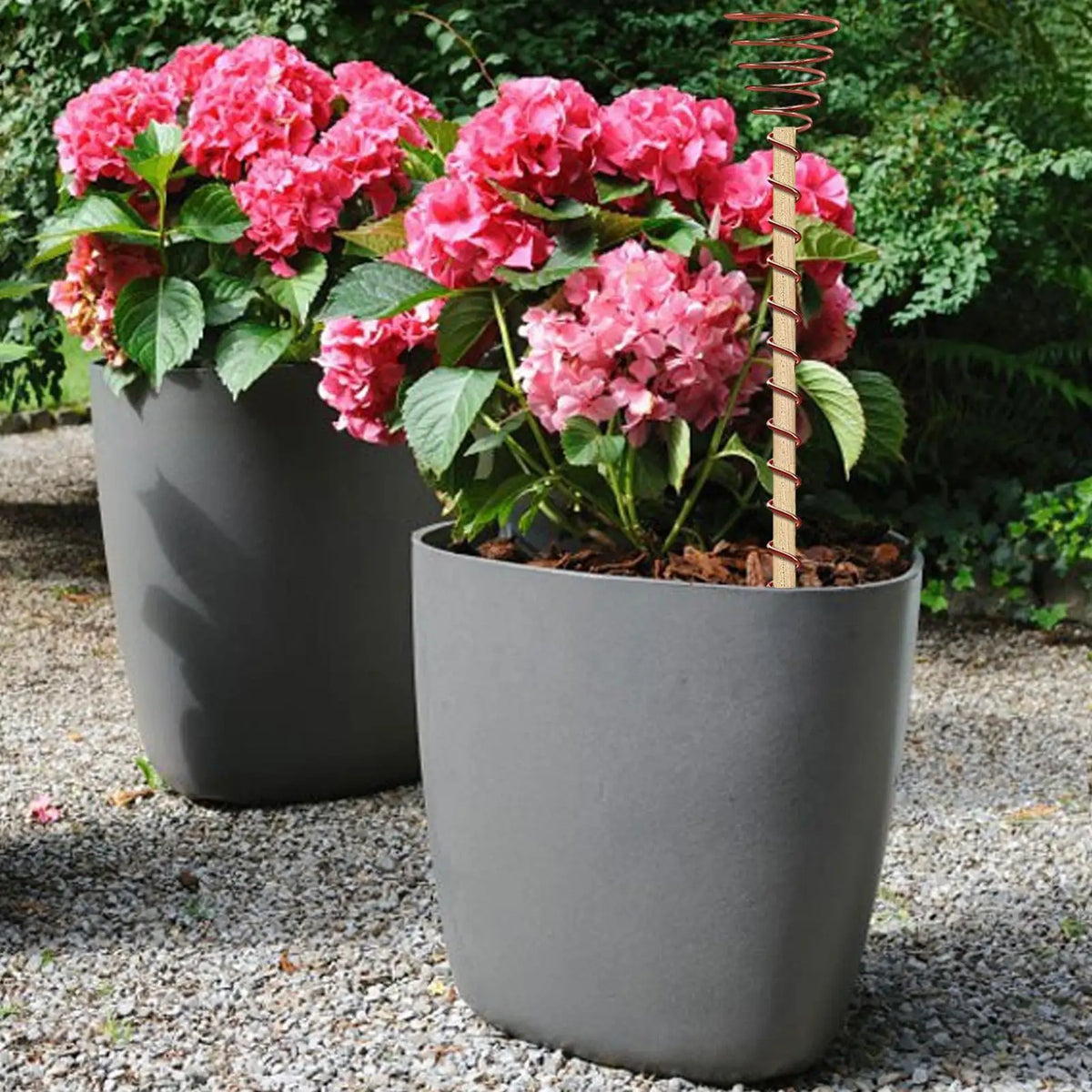 6-Pack Electroculture Copper Coil Plant Stakes for Garden Growth
