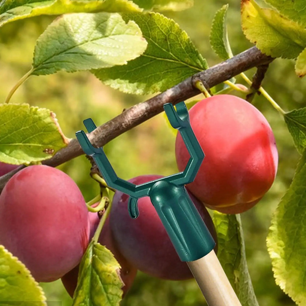 5-Pack Metal Tree Branch Support Kit | Garden Straightening Set