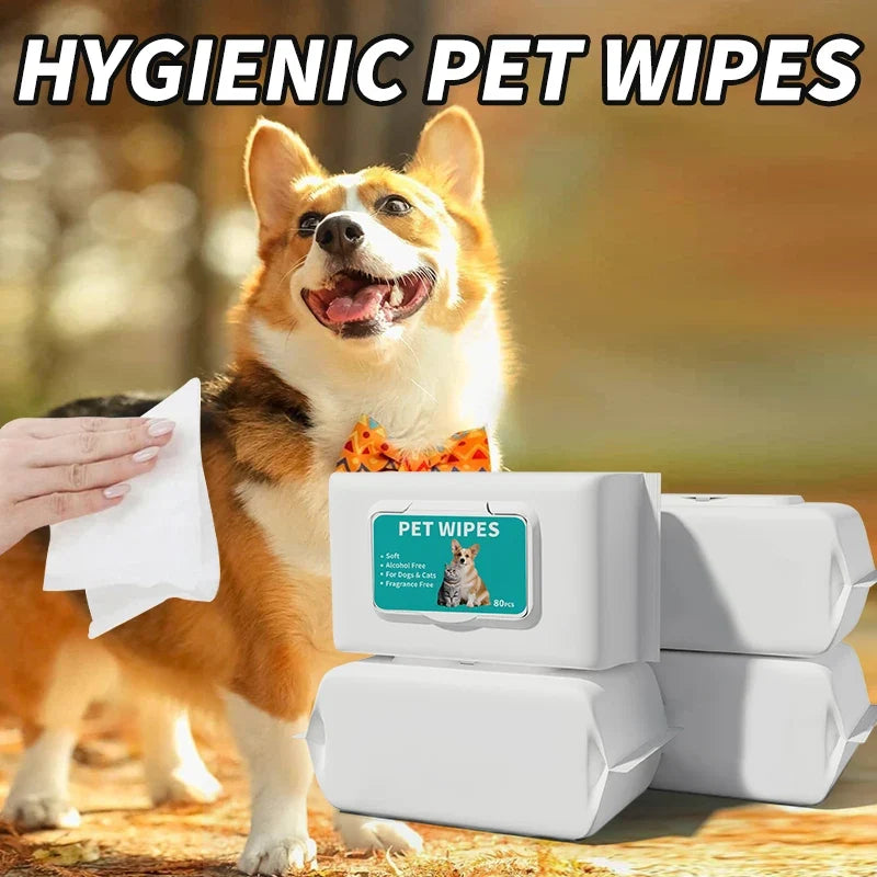 Pet Wipes Dogs & Cats | Pure Water Formula – 10 Pack