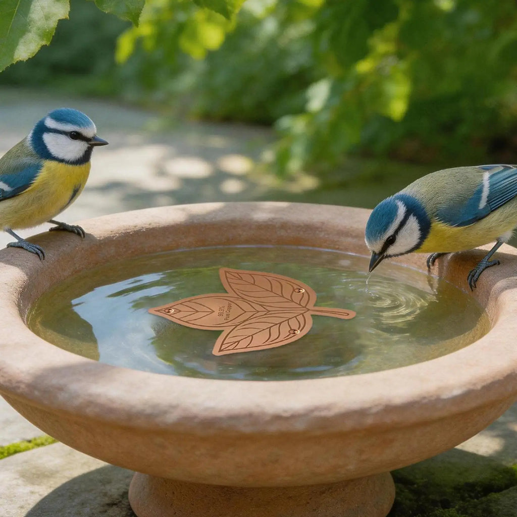 Copper Bird Bath Purifier Disk – Triple-Point Support