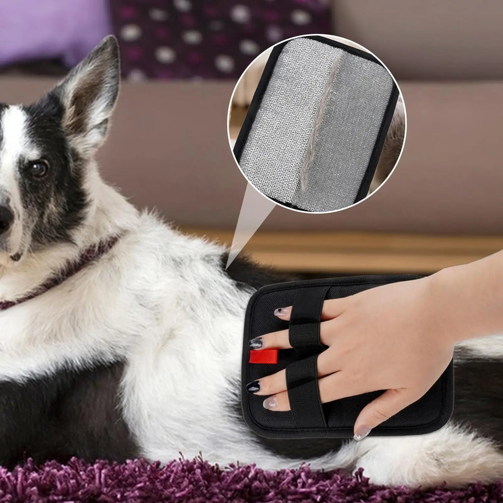 Electrostatic Pet Hair Removal Glove | Washable Grooming Mitten