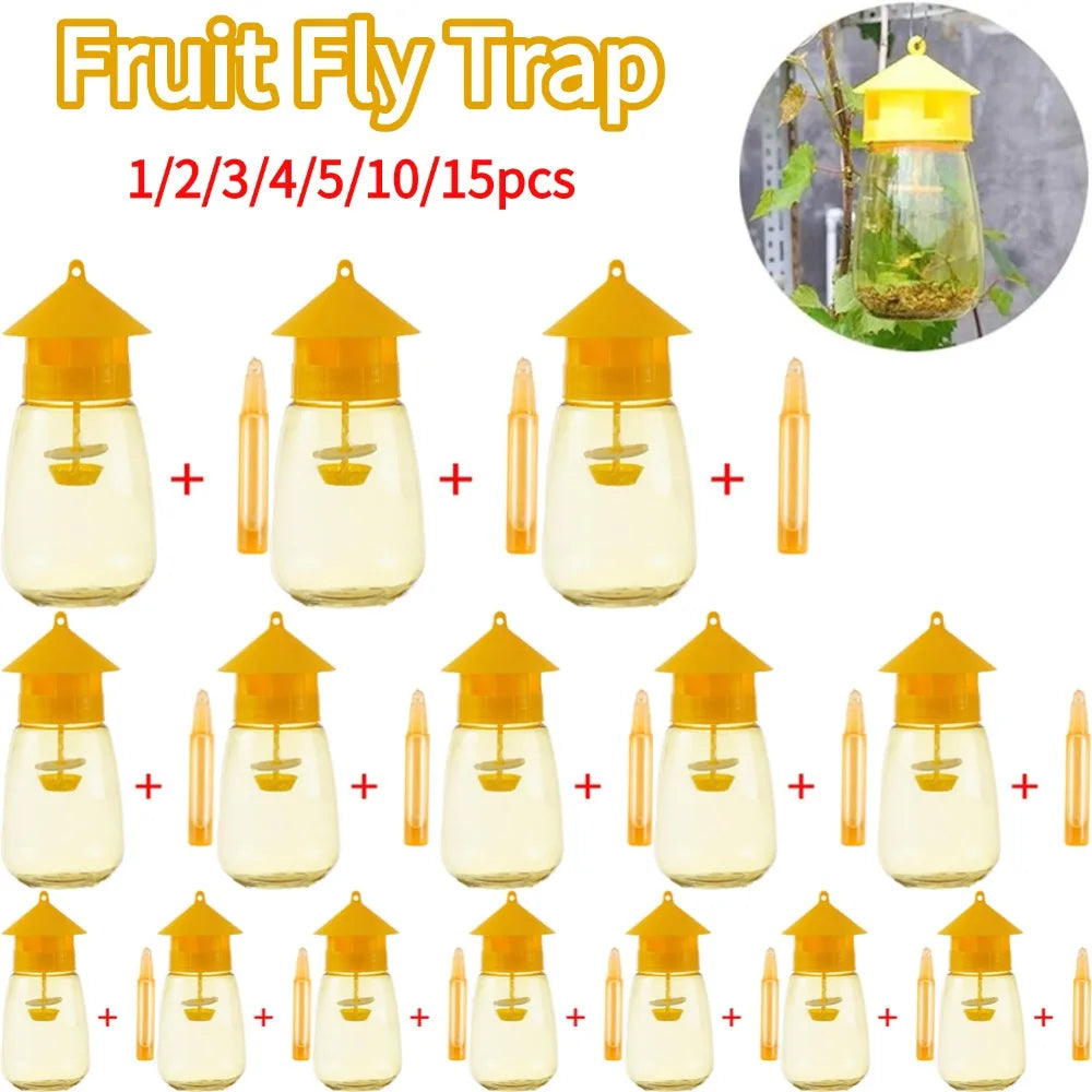 Fruit Fly Trap with Attractant – Orchard & Garden Insect Catcher