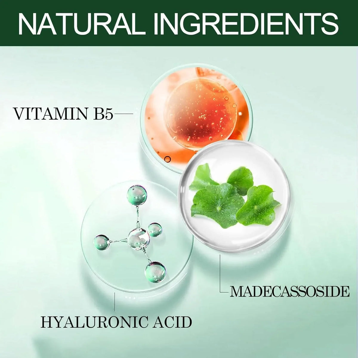 REAROYA Hyaluronic Acid Face & Neck Firming Anti-Aging Serum