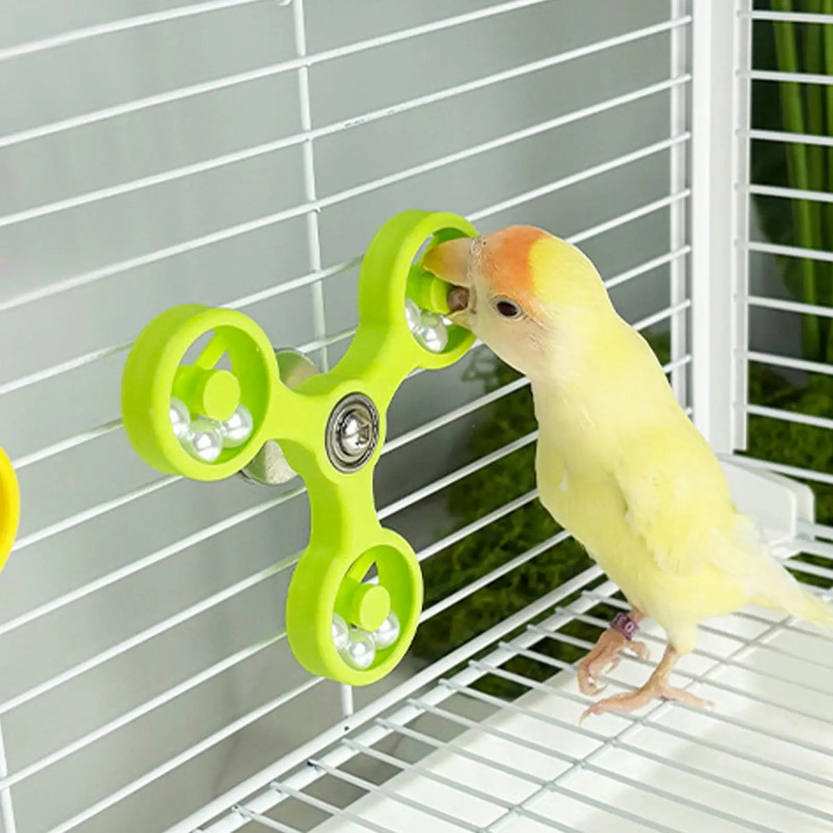 Interactive Rotating Spinner Wheel Bird Toy | Parrots & Parakeets