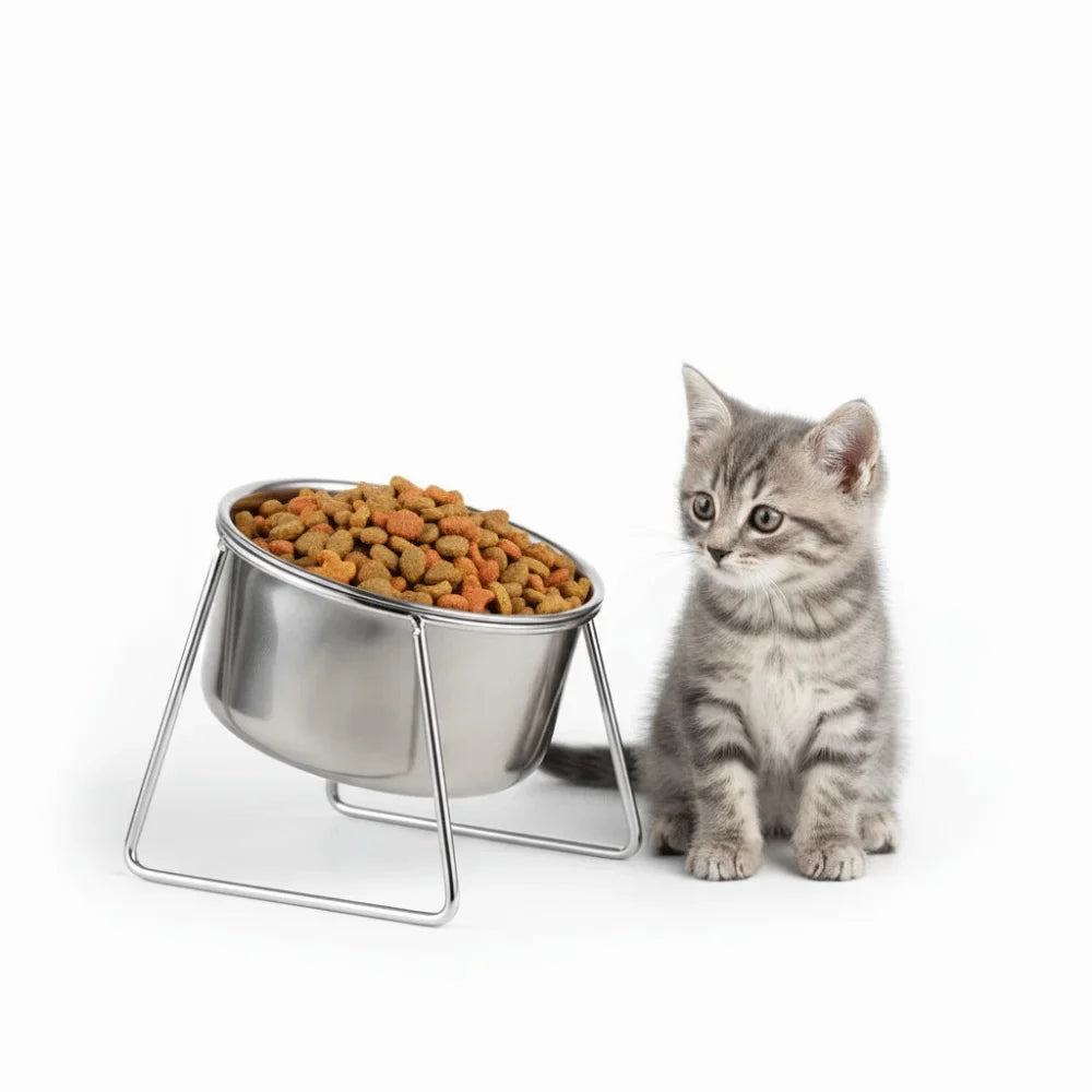 Elevated Stainless Steel Pet Bowl with Anti-Tip Stand | Cat & Dog