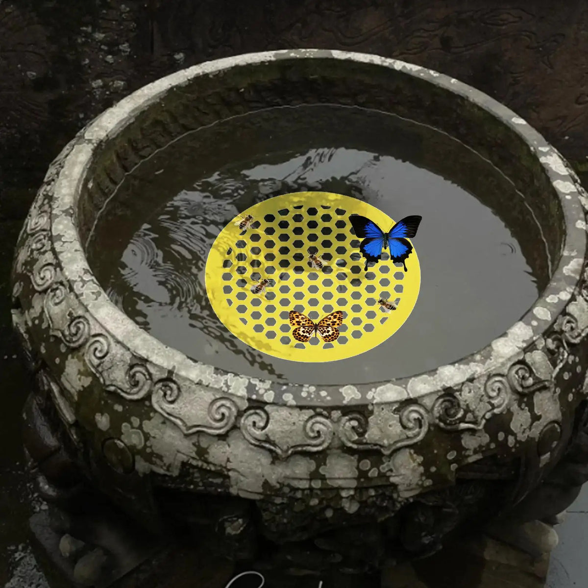 Floating Bee Island – Honeycomb Bee Waterer & Drinking Tray