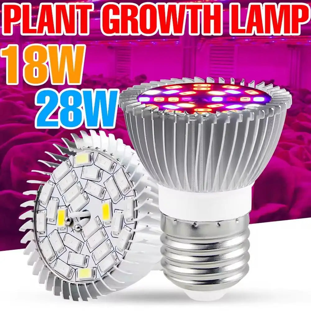 E27 Full Spectrum LED Grow Light Bulb | Indoor Plants
