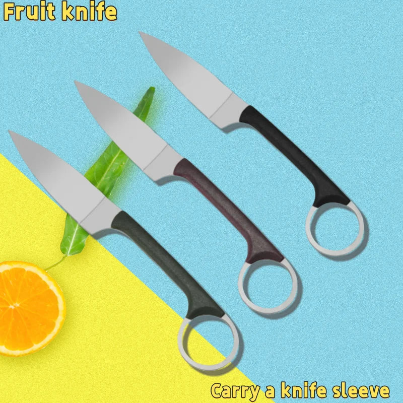 Portable Stainless Steel Fruit Knife with Sheath | Sharp Paring