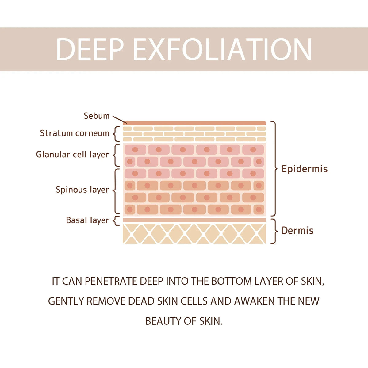 Exfoliating Peel Gel – Pore Shrinking, Brightening Face Scrub