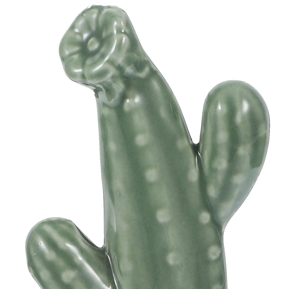 Artisan Ceramic Cactus Bowl Planter Bonsai Decor Indoor Green Plant