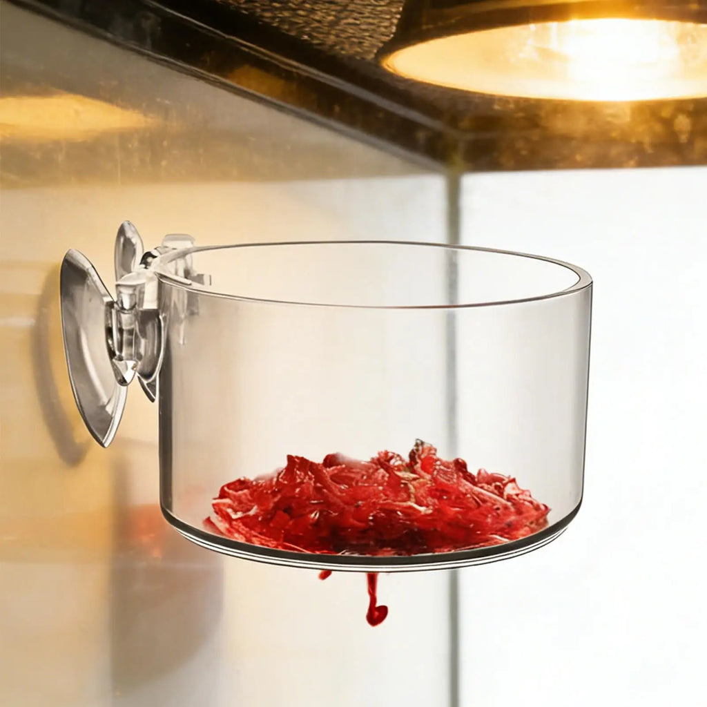 Suction Cup Plant Holder Clear Acrylic Aquatic Pot Propagation