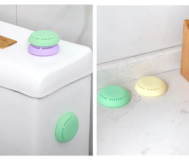 Shell Aromatherapy Air Freshener | Home & Car Fragrance Disc